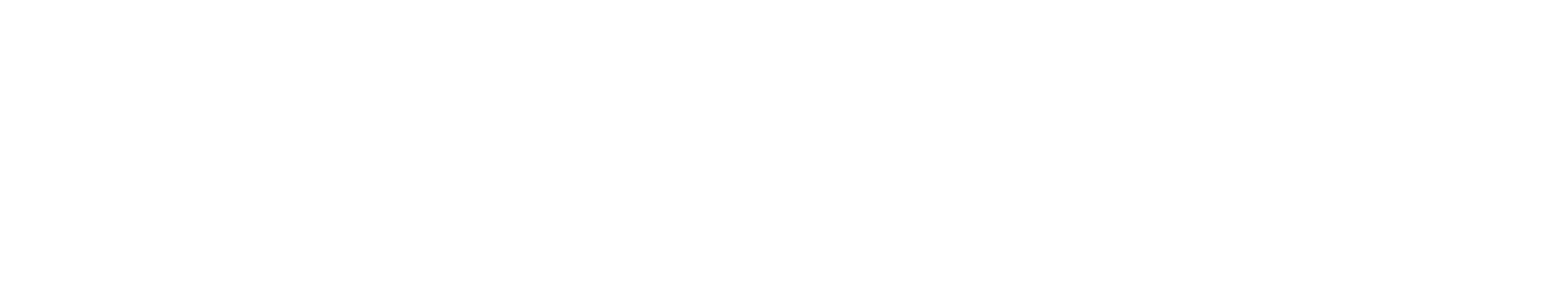 ITSN Logo